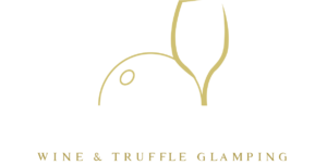 Le Stelle di Elisa - Logo