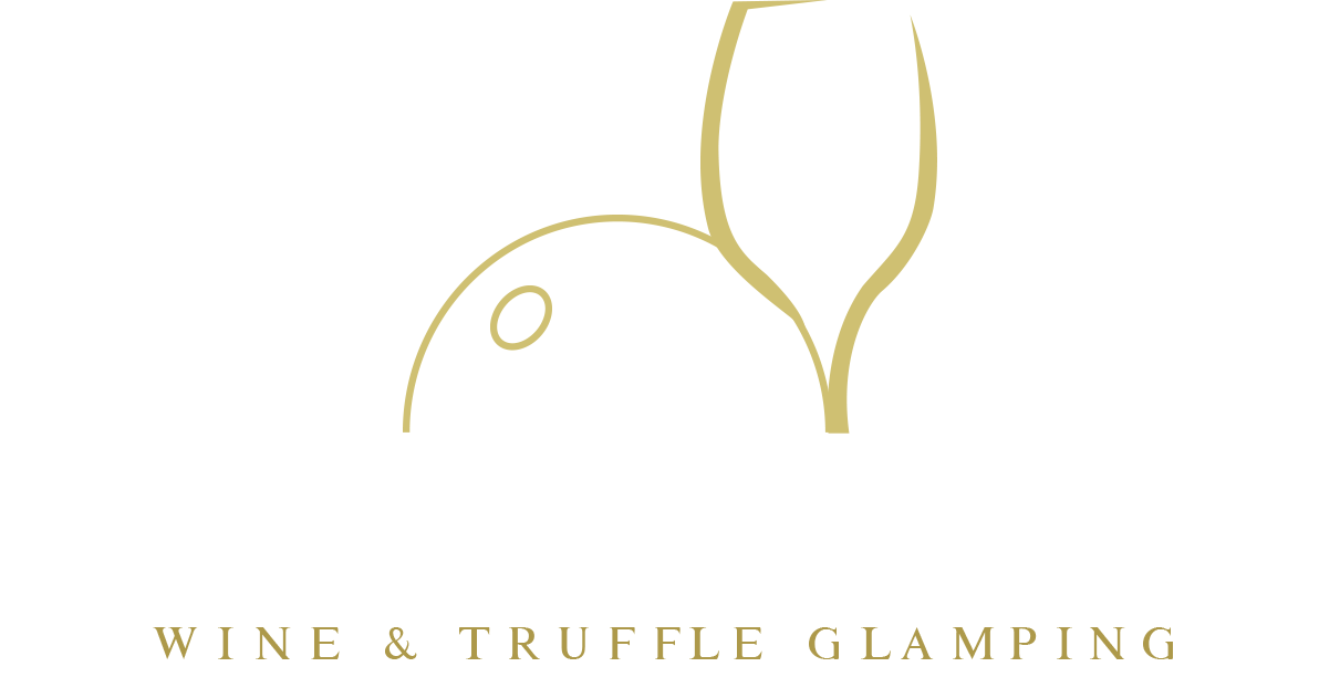 Le Stelle di Elisa - Logo